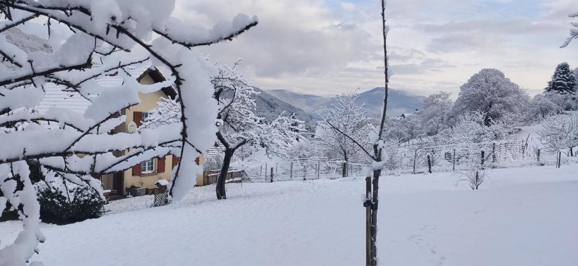 Appartement Douillet Avec Vue Sur Les Montagnes Fouchy Bagian luar foto