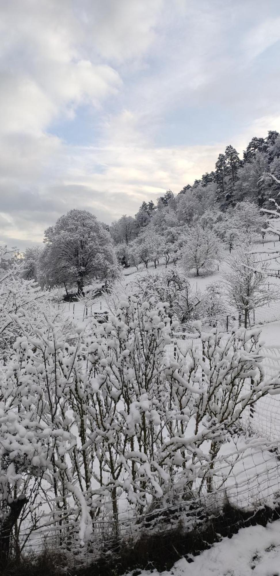 Appartement Douillet Avec Vue Sur Les Montagnes Fouchy Bagian luar foto